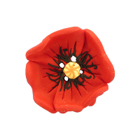 Bouton gros coquelicot rouge