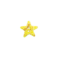 Bouton étoile Citrine