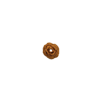 Bouton rose de 10mm marron