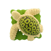 Bouton tortue d'eau verte